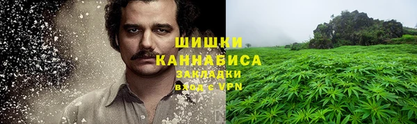 PSILOCYBIN Болотное